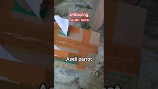 unboxing ayam super...⁉️🐓 #fypシ #satuhobi #ayam #shortvideo #asellparrot.