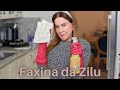 Faxina da Zilu!