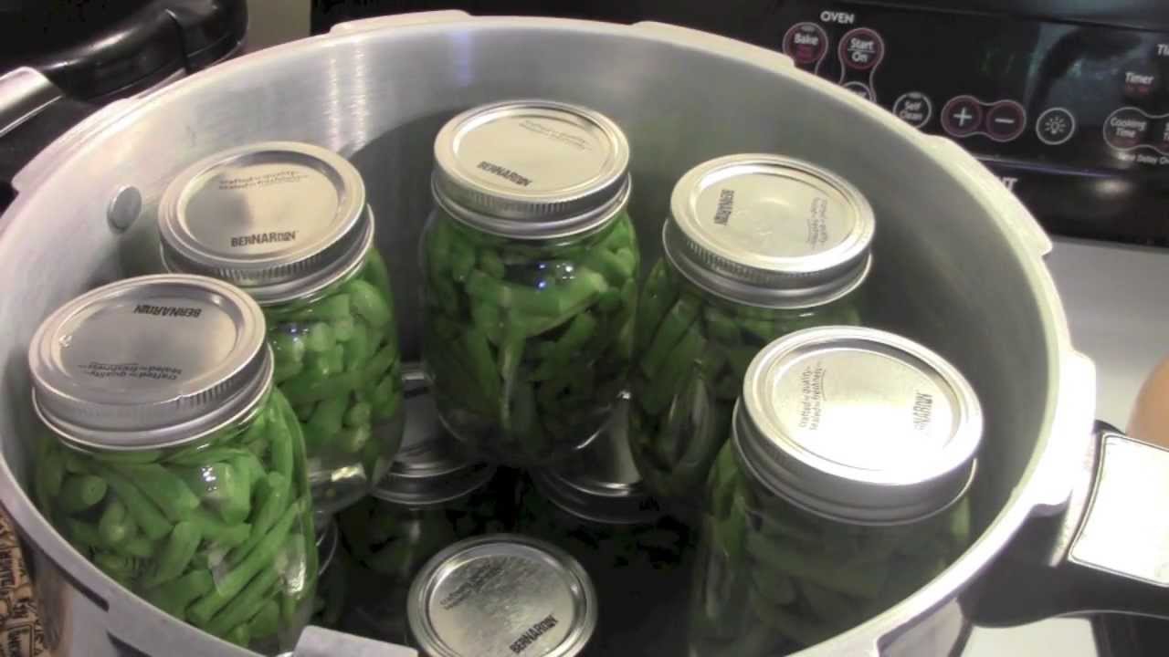 Grape Jelly, Pickles, Wasp Nest, Canning Beans and Chantecler Chicks