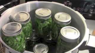 Grape Jelly, Pickles, Wasp Nest, Canning Beans and Chantecler Chicks