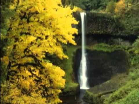 اجمل تلاوة للشيخ الصغير محمد البراك سورة الجن Flv 