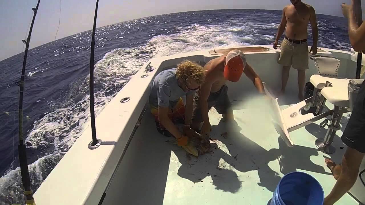 Day Maker Offshore Fishing YouTube
