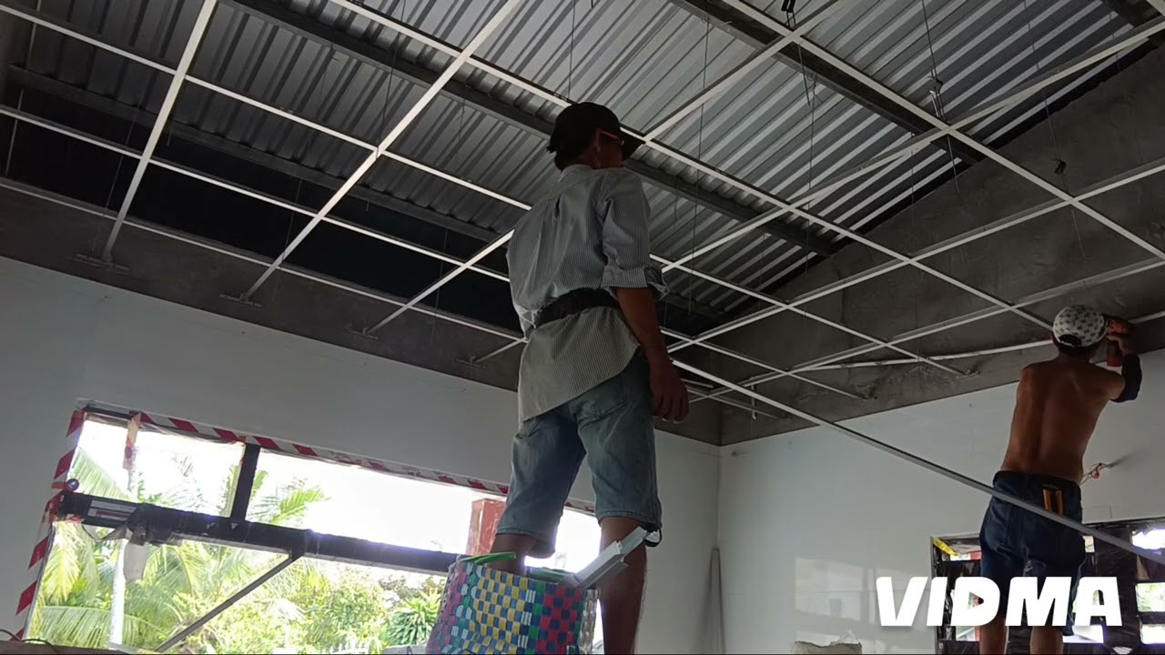 là phong anh kim 20