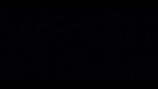  12 second video 