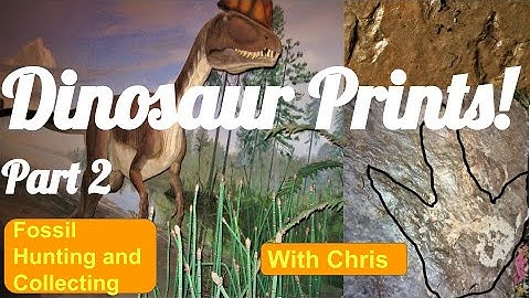 Fossils - Dinosaur Prints Part 2 -  Fossil Hunting and Fossil Collecting With Chris