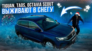 Skoda Octavia Scout, VW Taos и VW Tiguan выживают в снегу