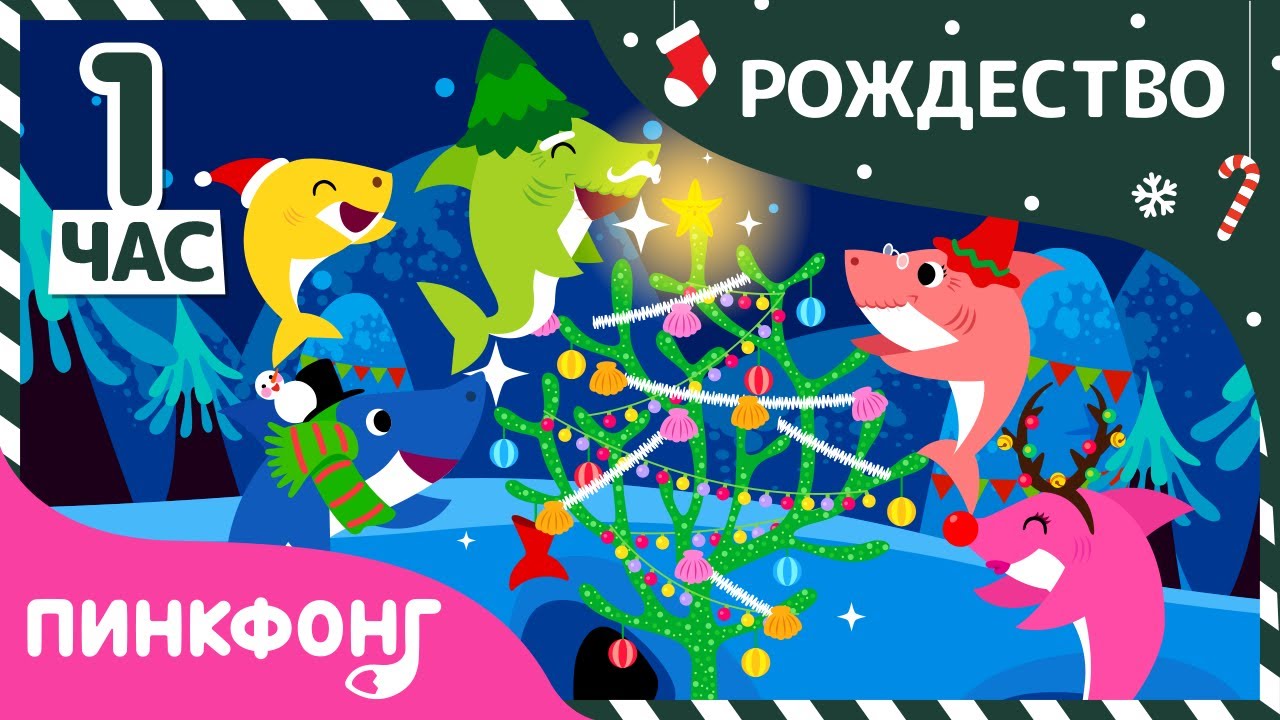 Ютуб Акула Туруру Про Новый Год Все Ютуб Акула Туруру Про Новый Год Все