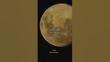 وَقَالَ رَبُّكُمُ ادْعُونِي أَسْتَجِبْ لَكُمْ - القارئ طارق محمد