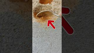 Spoon Vs Wall Brack challange Day 97 #shorts #challenge