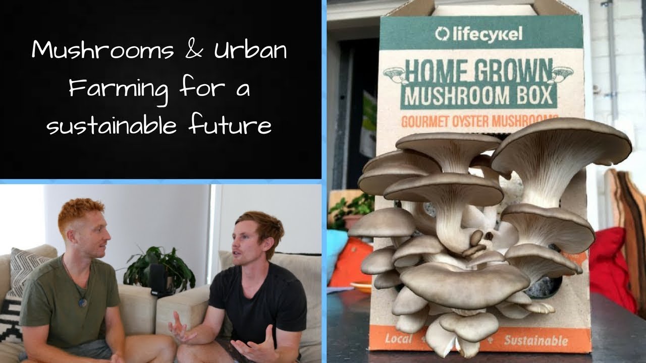 Mushrooms & Urban Farming for a Sustainable Future YouTube