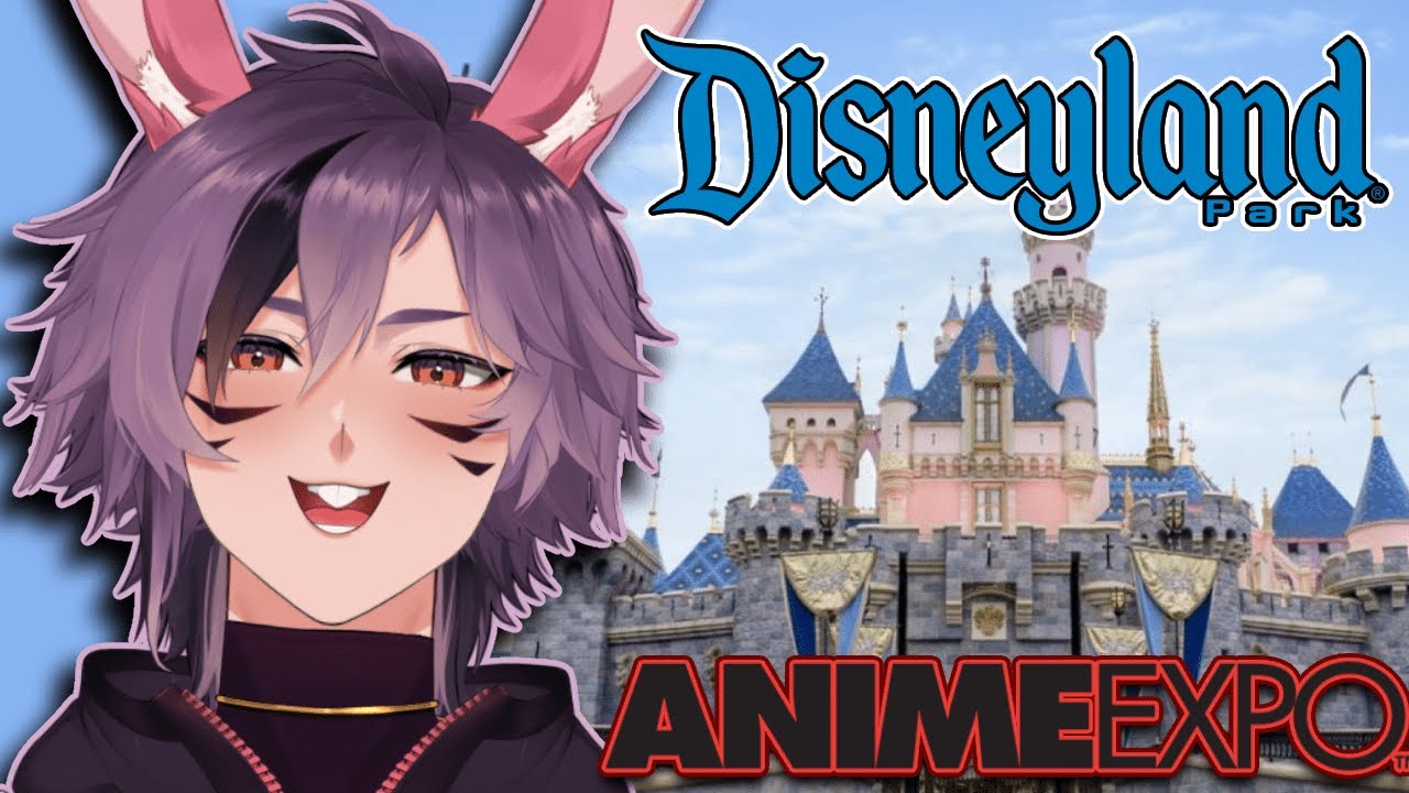 Disney / Anime Expo Recap + Sponsor