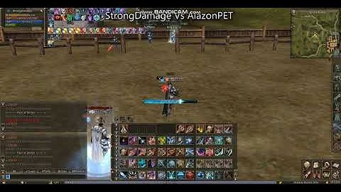 L2 Amerika StrongDamage vs AlazonPET