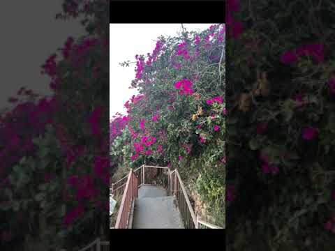 الحبله في ابها