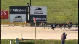 Albion-Park-08042015-Race-4