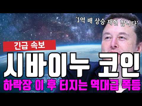 시바이누 코인 하락 <strong>이</strong> <strong>후</strong> 강력한 상승이 터질 수 밖에 없는 이유?