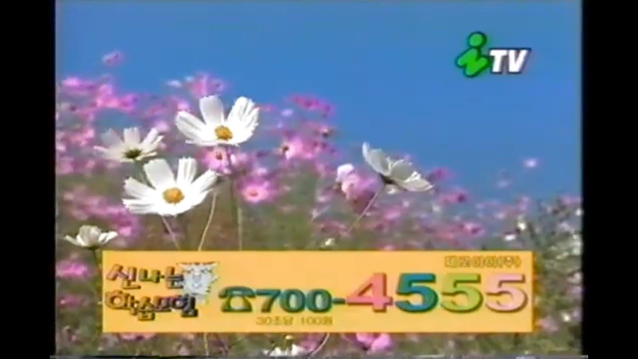 iTV 경인방송 가을 ID - "코스모스밭"│2001년 9월 추정