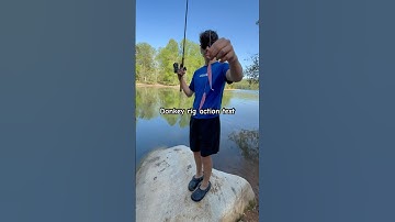 Donkey rig action test. #viralvideo #fishing #video #sportfishing #test #bassfishing #shorts #short
