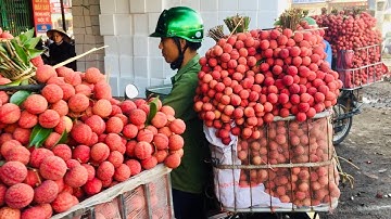 Cập nhật giá vải thiều sáng 24/6/2020 | Bán vải thiều ngọt chính vụ | bản sắc miền núi
