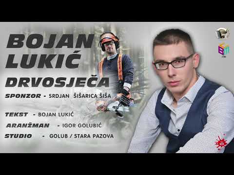 Bojan Lukić - Drvosječa - Official Audio 2026