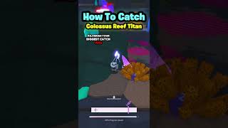 How To Catch Colossus Reef Titan In FISCH #roblox #fisch #ezking