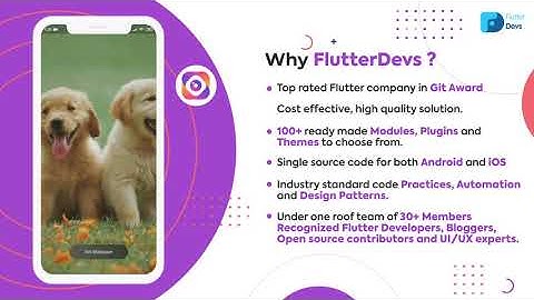 Flutter Social Media App