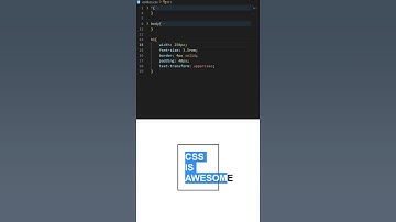 ✅ HACK CSS (TEXTOS)