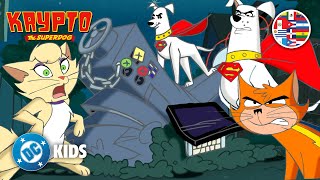 ¡Krypto y Streaky detienen a la siniestra Delilah! 😼 | Krypto the Superdog en Latino 🇲🇽🇦🇷🇨🇴🇵🇪🇻🇪