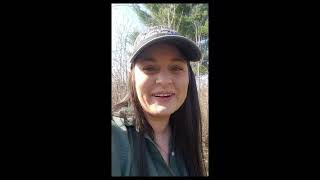 A Walk At Kelly Creek Preserve - Kinnickinnic River Land Trust