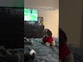 iPad kid lol #couples #funny #lgbtcommunity #puppy #comedyshorts #funnyshorts #wlw #fyp