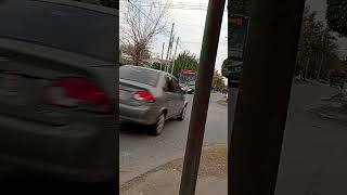 colectivo 505 int 69 adrogue 4