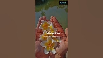 Surah Al Fatihah #shortvideo #reels #video #viral #shorts #short #porokal