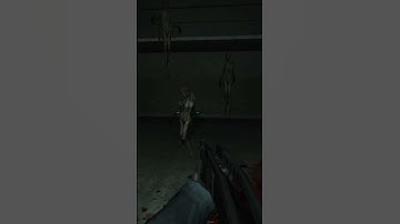 Holiday’s Final Fight - A Hero