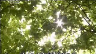 20100615-3《靜思晨語。慈濟宗門》靜寂清澄 志玄虛漠