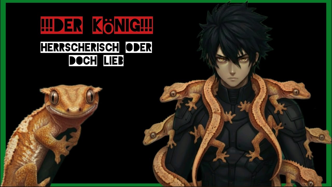 Der König der Terraristik 