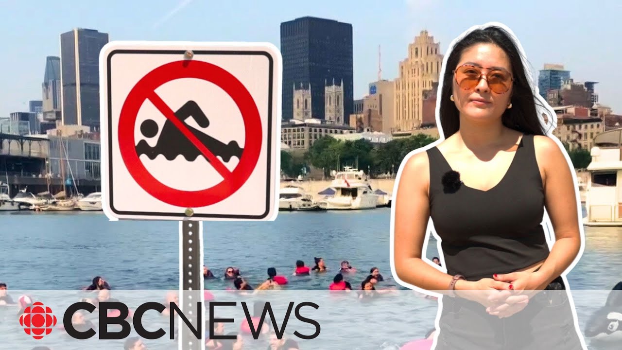 Why can't you swim at Montreal's Old Port?