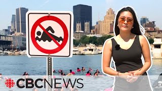Why cant you swim at Montreals Old Port?