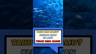 Kenapa Ikan Di Laut Tidak Bisa Habis faktaunik taugaksih