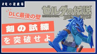 #21【ゼルダの伝説・breath of wild】DLC最後の壁、剣の試練に挑む【竜の遊技場】