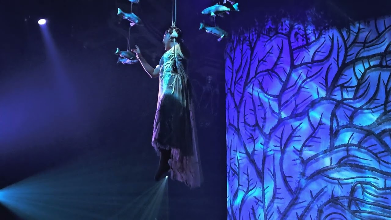 O Segredo do Cirque du Soleil na Selva Mexicana! 🇲🇽✨