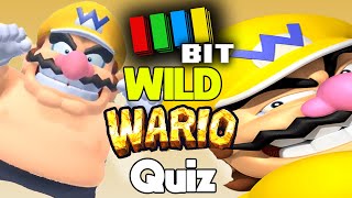 TetraBitGamings WILD Wario Quiz