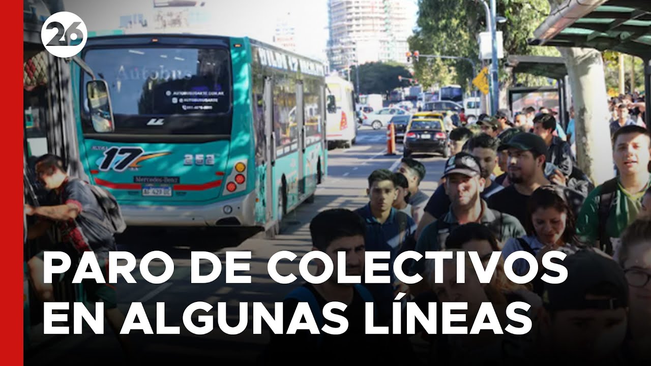 ARGENTINA | Paro de colectivos en algunas líneas de Capital y Zona ...