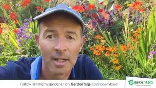 How to Keep your Garden Looking Good Throughout the Season