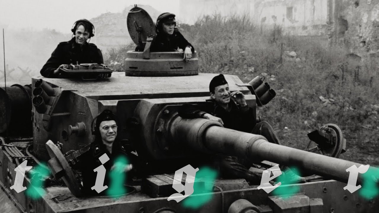 The Tiger - 2025 - EDIT