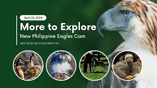 New Philippine Eagles Cam | More to Explore Live Show