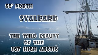 80° North - Svalbard - the wild beauty of the icy high Arctic