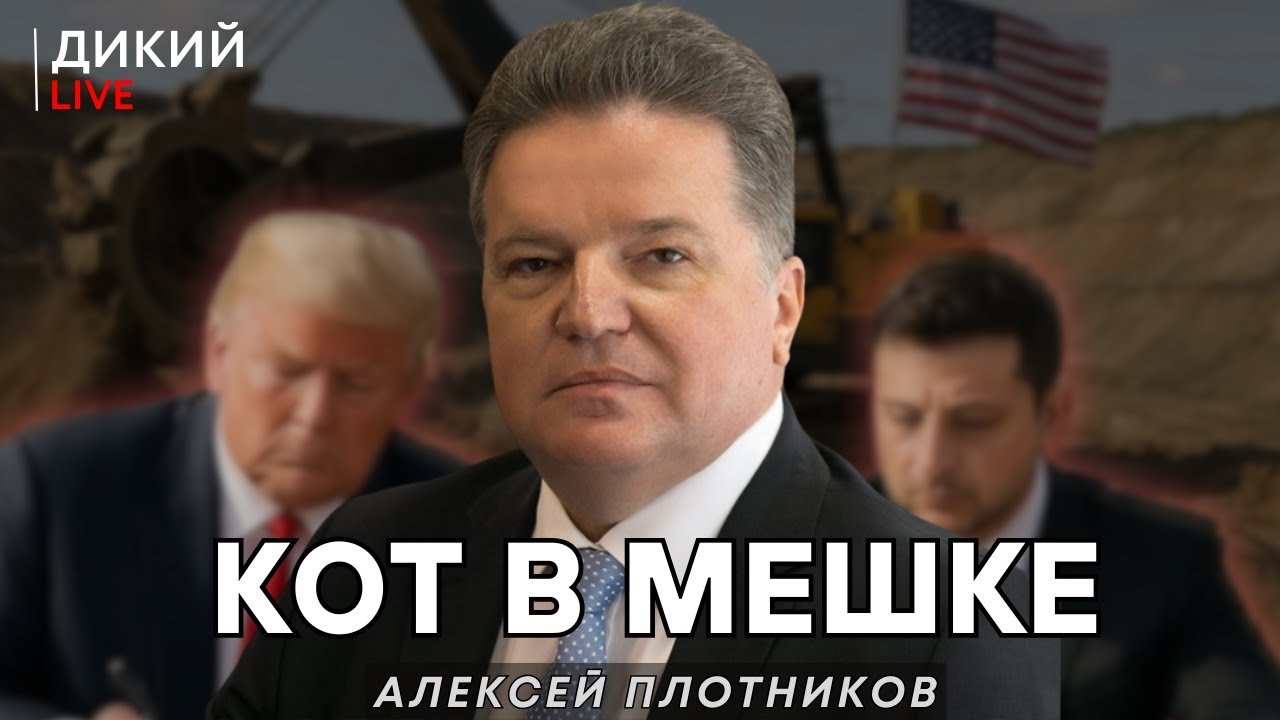 Сделка, или Разводняк …Алексей Плотников. Дикий LIVE.