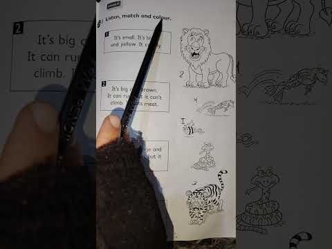 اللغة الإنكليزية للصف الثالث الابتدائي نشاط صفحة 54 55 المنهج الجديد 2025