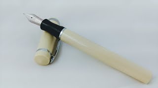 Fountain Pen Review: Nemosine Singularity