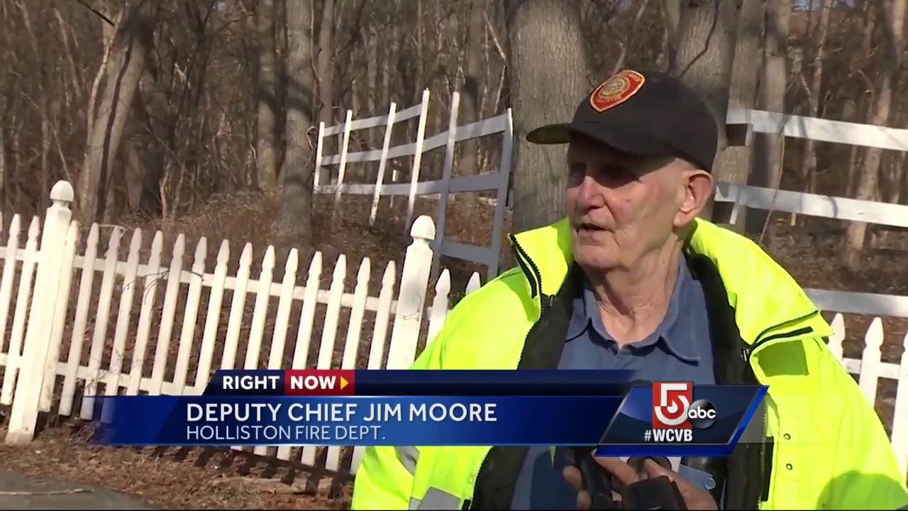 Dozens of animals killed, others flee barn fire