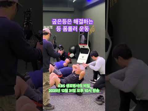 굽은등을 해결하는 등 <strong>폼롤러</strong>
